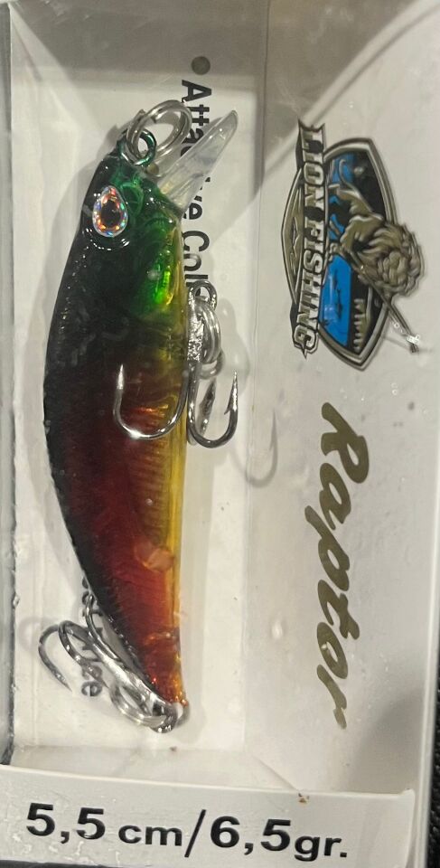 RAPTOR 5,5CM/6,5GR MAKET BALIK