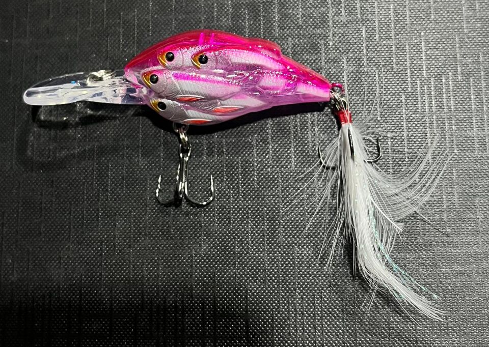 LIONFISH MAKET BALIK